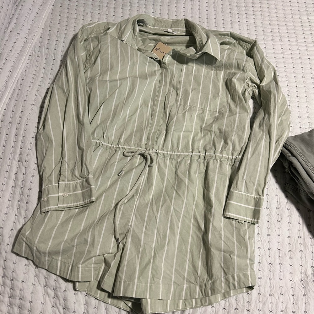 Pistola Anthro Green Striped Shirt